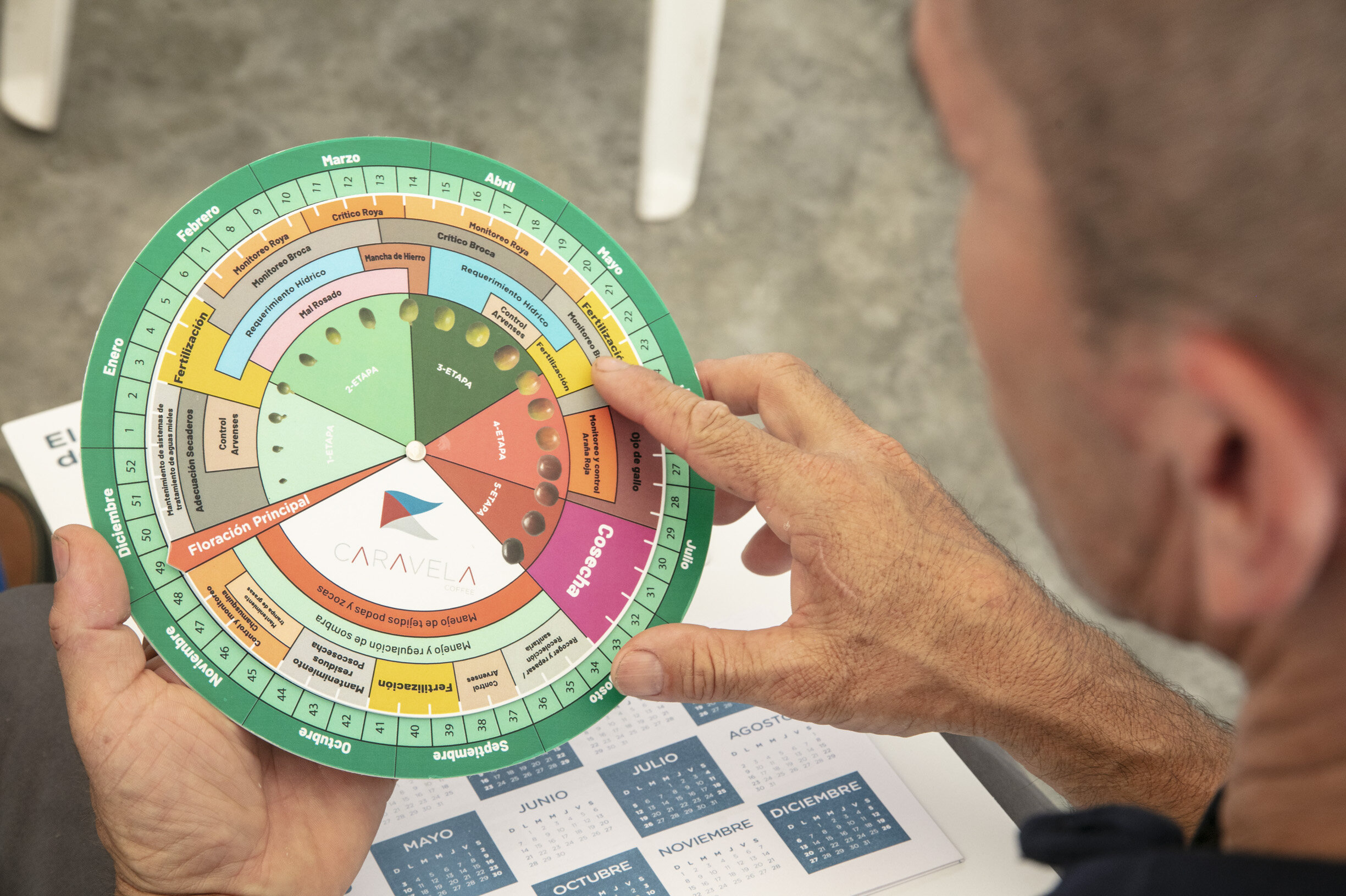 PRIMARY-El Compás del Café.jpg