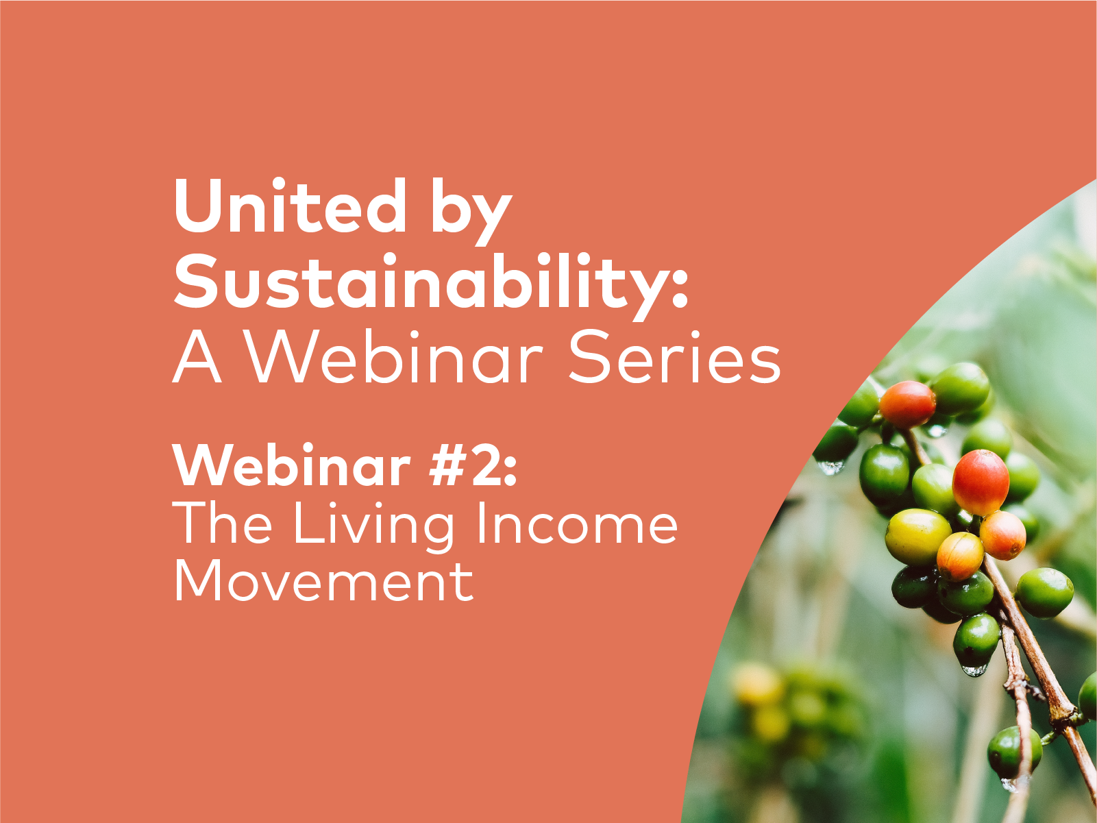 SCA News - Thumbnail-2x.png